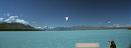 nz bild Mt. Cook