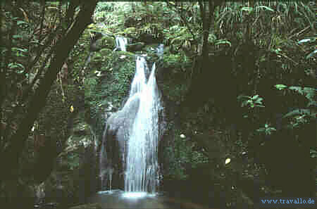 nz bild Am Wasserfall Routheburn Track