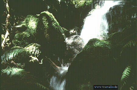 nz bild Am Wasserfall Routheburn Track