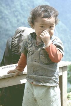 anapurna nepal