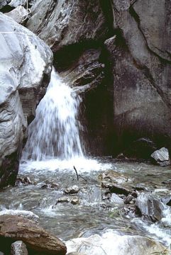anapurna nepal