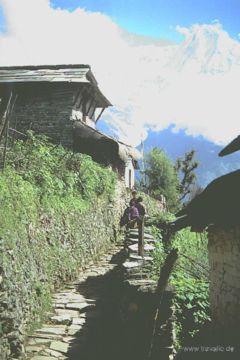 anapurna nepal