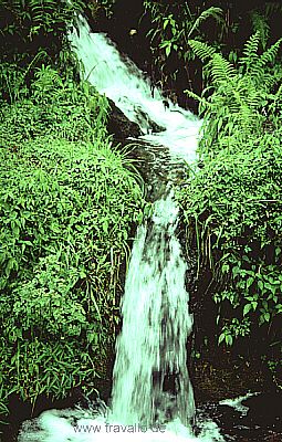 anapurna nepal