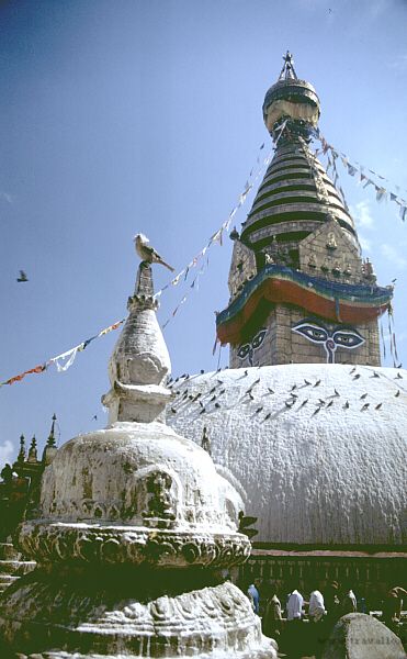 monkeytemple kathmandu nepal