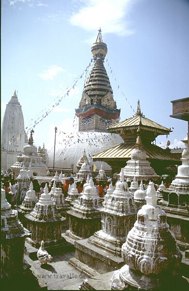 Monkeytemple