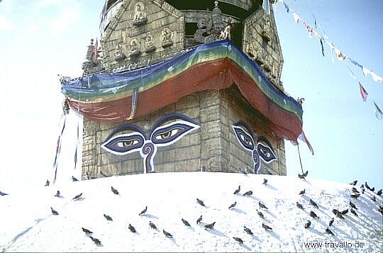 Monkeytemple Kathmandu Nepal