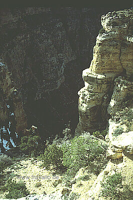 usa arizona grand canyon