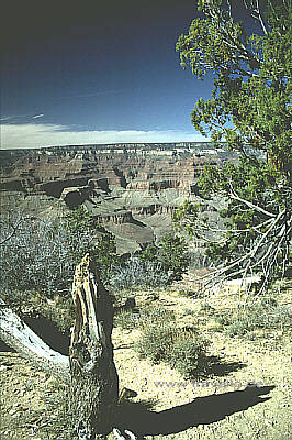 usa arizona grand canyon