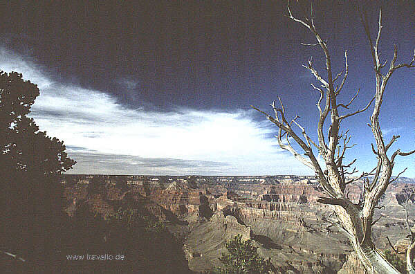 usa arizona grand canyon