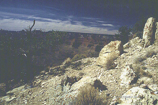 usa arizona grand canyon