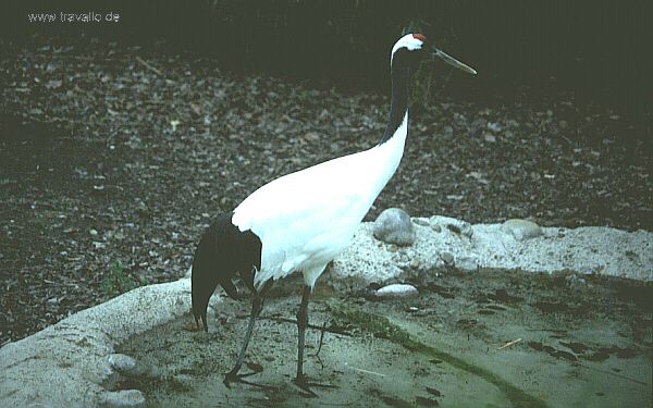 usa florida everglades