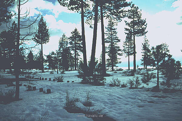 usa California yosemite np